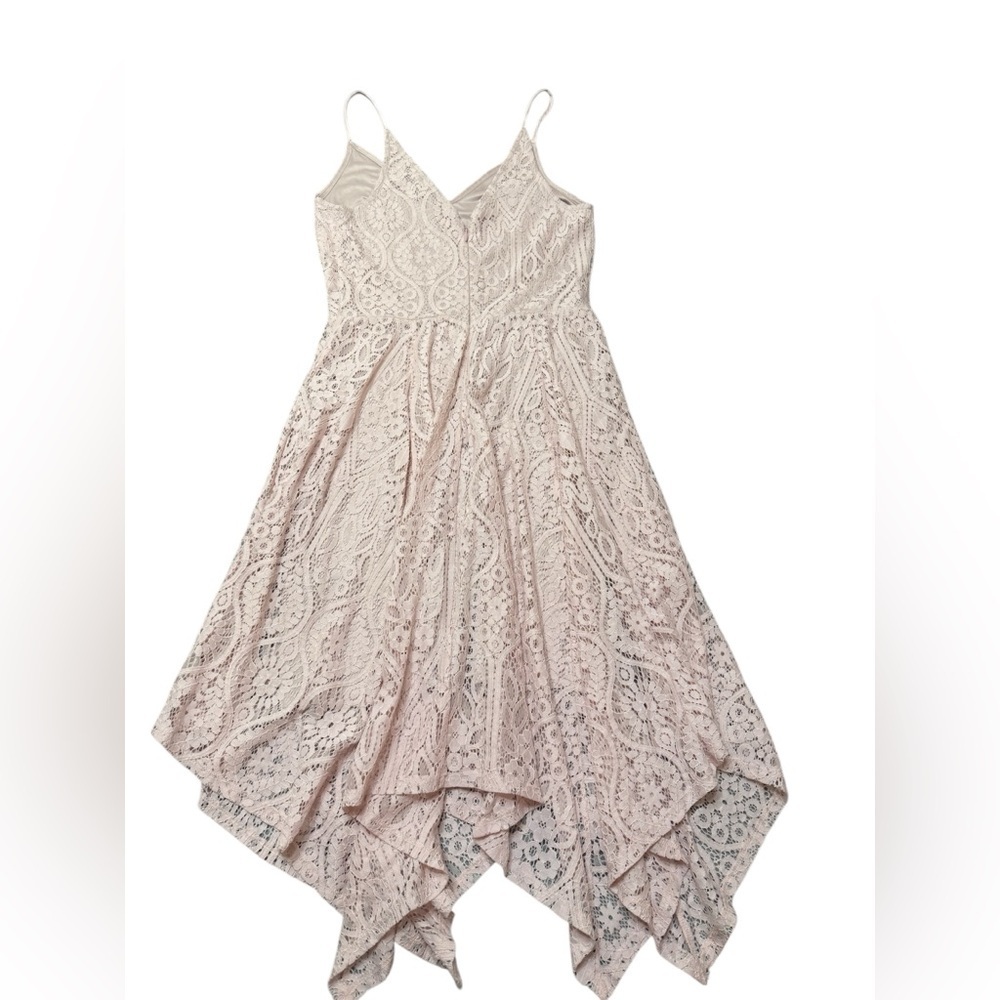 Express Lace Dress in light pink - Picture 2 of 7